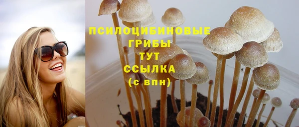наркотики Алексин
