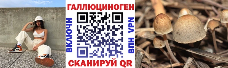 Галлюциногенные грибы ЛСД  ОМГ ОМГ ссылка  Новотитаровская 