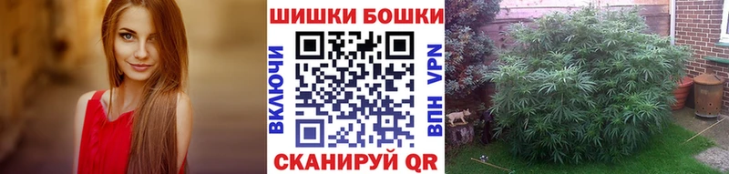 Каннабис ГИДРОПОН  Новотитаровская 
